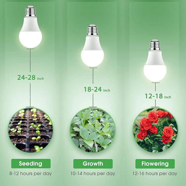 full spectrum light bulbs detail1 full spectrum light bulbs detail1