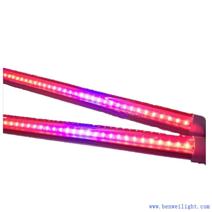 Može li se bilo koje svjetlo koristiti kao svjetlo za rast