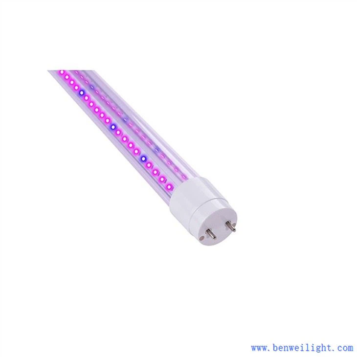 grow light bulbs
