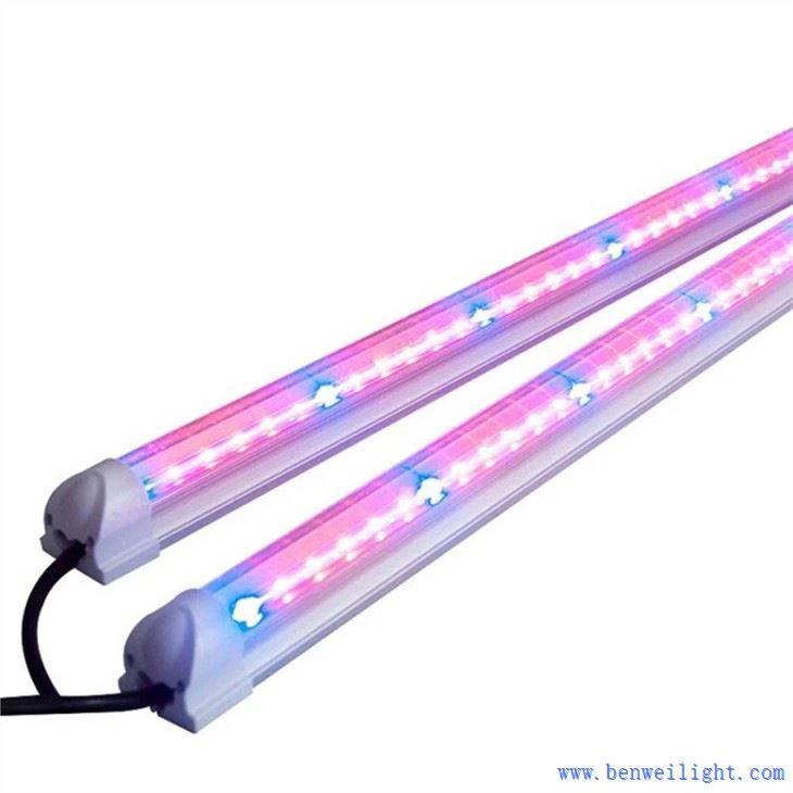 grow light bulbs walmart