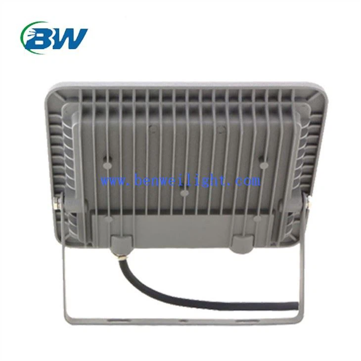 50 Watt Flood Light