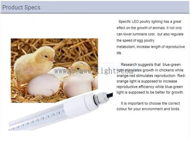 T10 LED cijev za Tursku