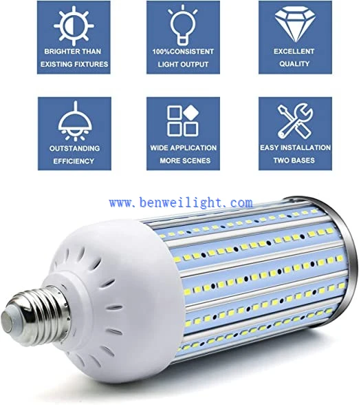 corn bulb-1