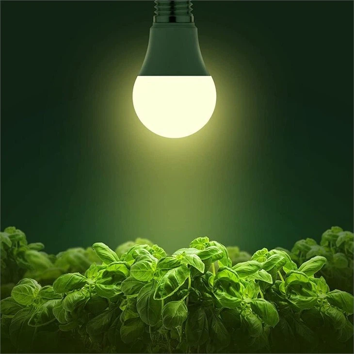 full spectrum light bulbs