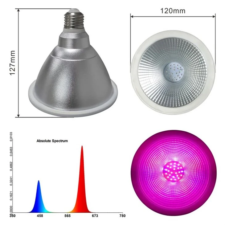 full spectrum new horticulture bulb 4