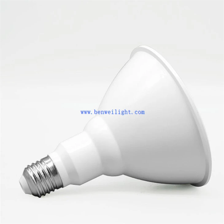 Par38 Spot Light