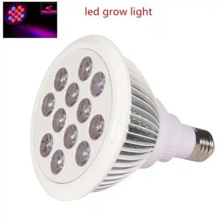 PAR38 36W sijalica LED Grow Lights