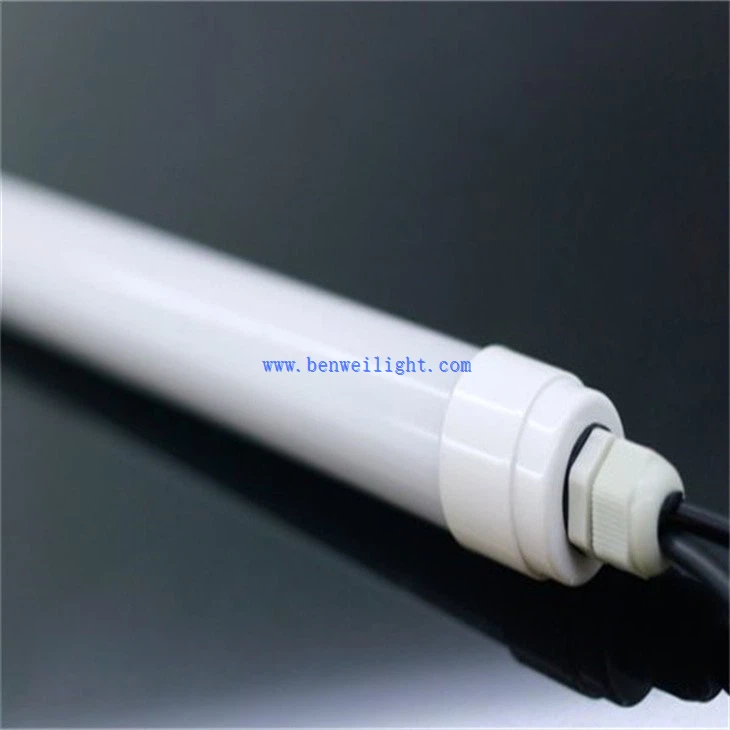 Herd Poultry Light (3)