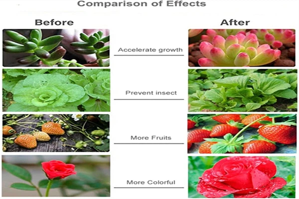 info-600-400 info-600-400