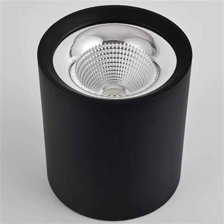 LED površinsko montirano downlight s mogućnošću zatamnjivanja 33W