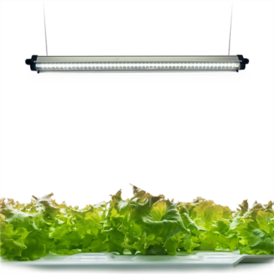 240 LED svjetlosnih traka punog spektra za uzgoj biljaka s automatskim tajmerom za uključivanje/isključivanje 3/9/12 sati