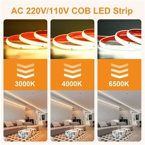 SL10-12V White LED Strip Light 1000 Lumens/m IP65 suppliers